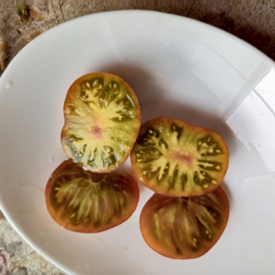 Томат Гном Пит Вайпер (Dwarf Pite Wiper, Гремучая змея)