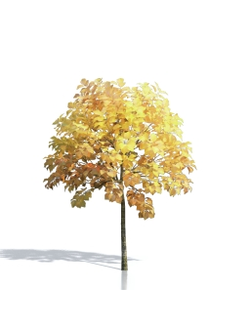 Billboards Дерево осеннее_05