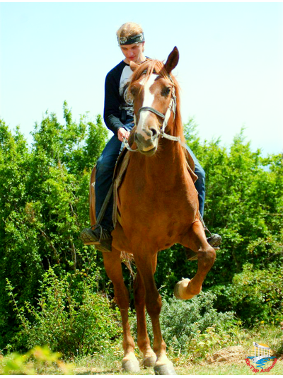 Конные прогулки в Долину привидений