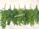 Искусственные растения, ампельная зелень - Искусственная лиана № Л 007