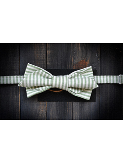 Галстук бабочка в полоску зелено-белая в магазине Bagcom