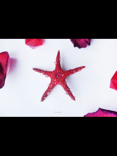 Морская брошь "Звезда ундины"