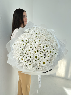 Букет из 51 кустовой хризантемы