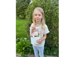 Деревянный бокс с зефирными розами