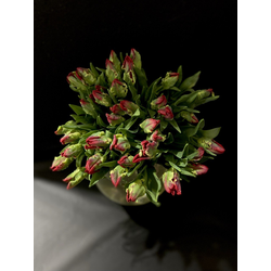 Тюльпаны 35 шт