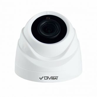 DVI-D111