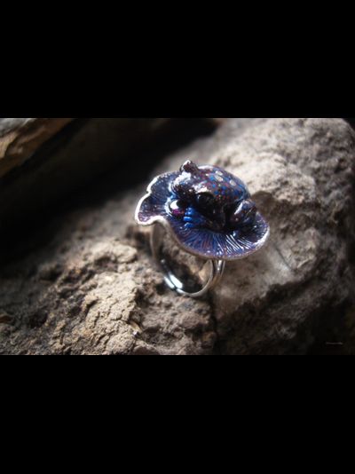 Космическое фэнтези-кольцо с лягушкой "Ведунья Алькора" с родолитом