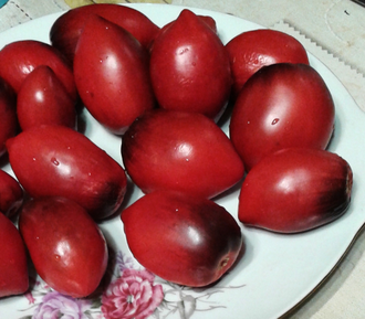 Семена томата Паскаль из Пикардии