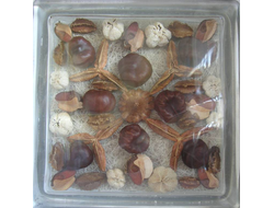 Стеклоблок декоративный Различная тематика РТ_004 (В) 19х19х8 см