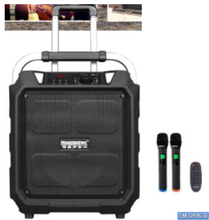 Комбоусилитель Temeisheng SL10