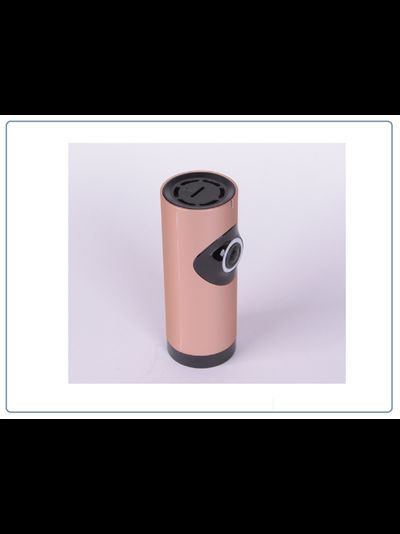 Видеоняня /WiFi видеокамера панорамная с DVR (fish_G), HD)