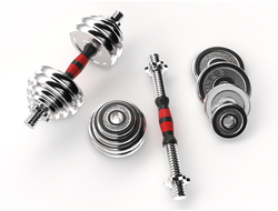 Набор гантелей UNIXFIT в кейсе 30kg купить в Воронеже