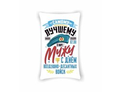 Подушка вертикальная #16 ВДВ