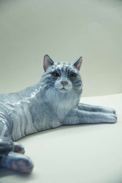 Большая кошечка