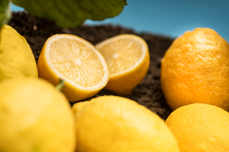 Лимон (Citrus limon) Италия, 5 мл - 100% натуральное эфирное масло