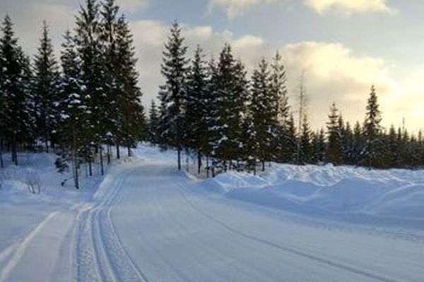 Горнолыжный центр «Любогорье»