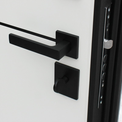 Стальная дверь   Бриг