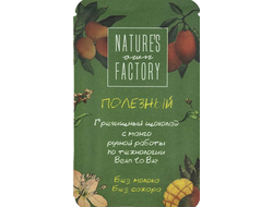 Гречишный шоколад с манго, 20г (Nature's own Factory)