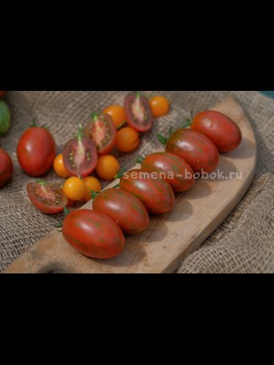 Томат Dwarf Audrey’s Love Tomato (Гном Любовь Одри), 10 шт