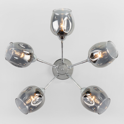 Потолочная люстра со стеклянными плафонами 30164/5 хром Eurosvet&trade;