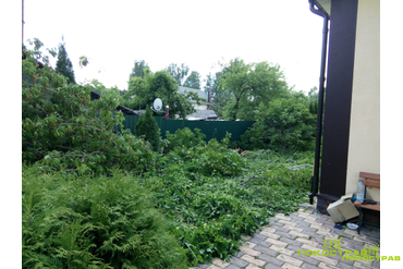 Удаление деревьев