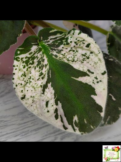 РМ-Черный Оникс (Н. Скорнякова) 2023 г.