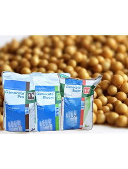 Оsmocote/Нидерланды