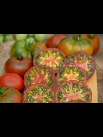 Томат Dwarf Red Viper (Гном красная Гадюка), 10 шт