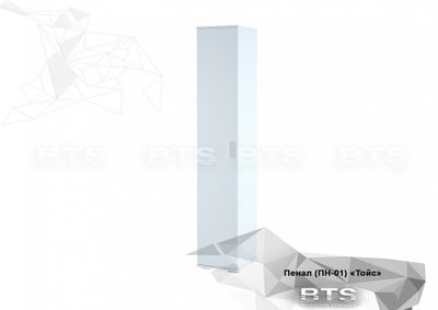 ПЕНАЛ &quot;ТОЙС&quot;