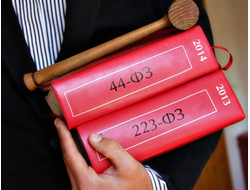 Управление закупочной деятельностью: государственный/муниципальный заказ 223 ФЗ  + 44 ФЗ