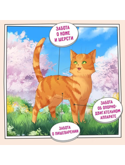 ZILLII Skin & Coat Care, корм сухой для кошек поддержка здоровья кожи и шерсти, гипоаллергенный,400г Индейка с Ягнёнком