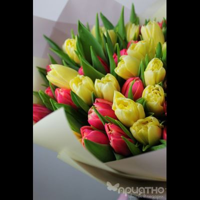 БУКЕТ МОНО ЦВЕТОВ № 325