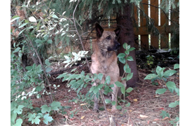 наш охранник Богдан