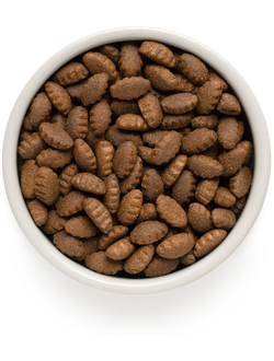 Grandorf (Грандорф): сухой корм для собак крупных пород Ягненок с индейкой, 3 кг