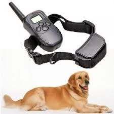 Электронный ошейник для дрессировки собак