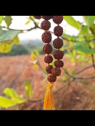 Четки из натуральной мелкой Рудракши цвет желтой