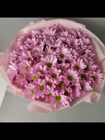 Букет 9 кустовых хризантем (цвет на выбор)