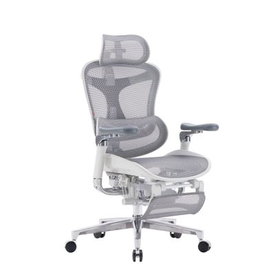 Ортопедическое кресло SIHOO Doro C500 | серо-белое