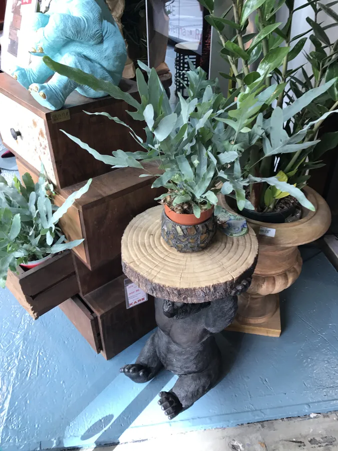 Декор витрины мебельного магазина,Мюнхен, Германия.