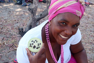 Дыня Калахари (семена) 10 мл - масло базовое нерафинированное