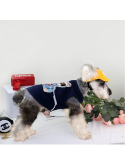 Майка для собак Мишка в очках