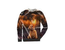 Свитшот 3D с полной запечаткой год Кролика №14