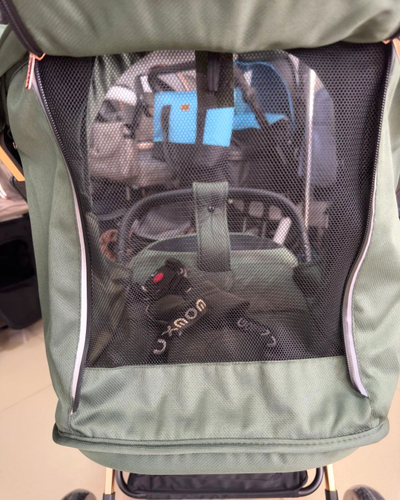 Детская коляска Luxmom T2 Зеленый