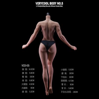 ПРЕДЗАКАЗ - Мускулистое бесшовное женское тело - Коллекционная фигурка 1/6 Silicone Female Body Bodybuilding Muscular Physique Natural Skin Tone (VCD-05B) - VERYCOOL  ?ЦЕНА: 9900 РУБ.?