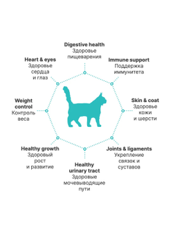 PREMIER (Премьер) сухой корм для кошек крупных пород, Ягненок, индейка 400 г