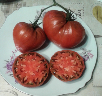 Семена томата Вишневый от Zuzy