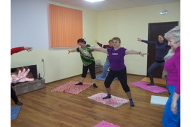 Оздоровительная гимнастика, в т.ч.  для людей старшего возраста и людей с ослабленным здоровьем.