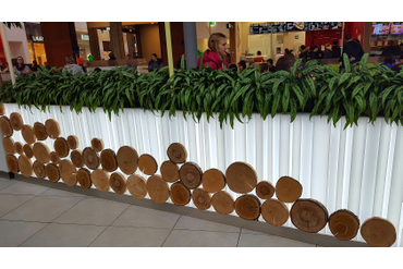 Декор на фудкорте спилами разных пород дерева, МЕГА Теплый Стан, г.Москва.