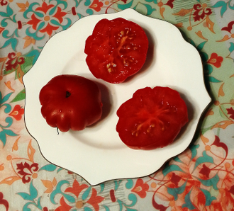 Семена томата Красный бордюр