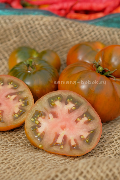 Томат Dwarf Chocolate Champion (Гном Шоколадный Чемпион), 10 шт